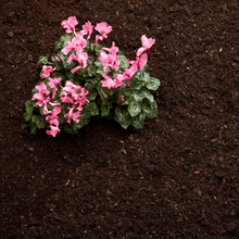 Load image into gallery viewer, Garden Compost Bulk Bag 500L