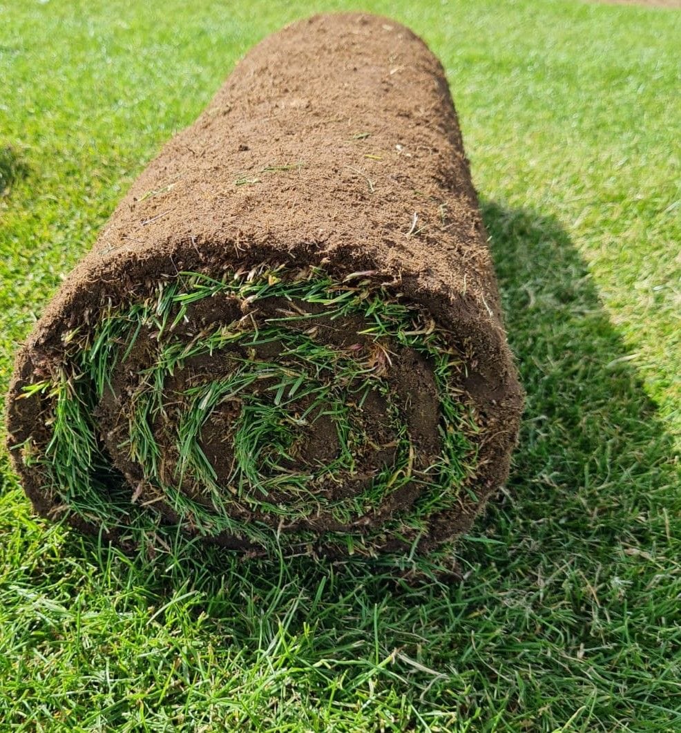Premium Seeded Lawn Turf per m2 roll