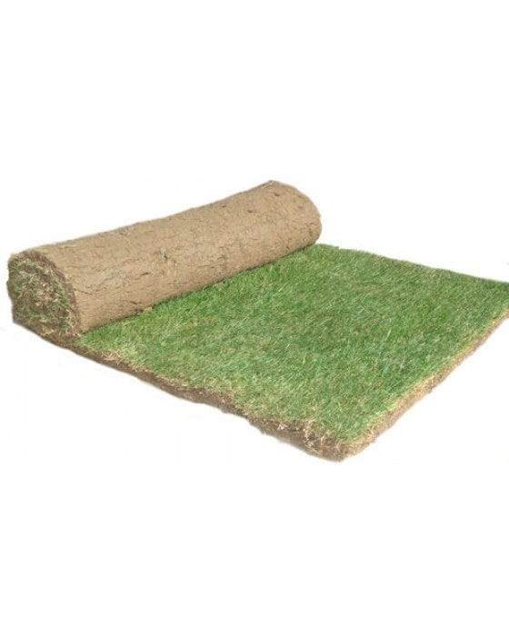 Garden Lawn Turf | Gills Building Supplies
